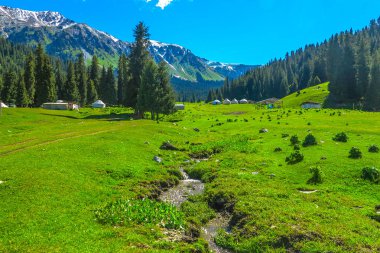 Karakol Gorge Resort manzara kar ile şapkalı Terskey Ala çok dağ Yurt kampı