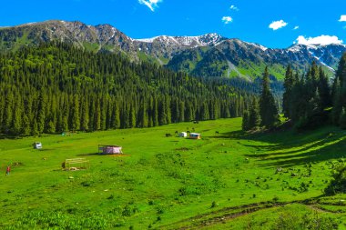Karakol Gorge Resort manzara kar ile şapkalı Terskey Ala çok dağ Yurt kampı atlar