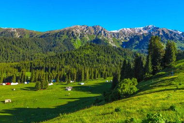 Karakol Gorge Resort manzara kar ile şapkalı Terskey Ala çok dağ Yurt kampı