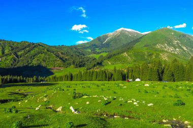 Karakol Gorge Resort manzara kar ile şapkalı Terskey Ala çok dağ Yurt kampı
