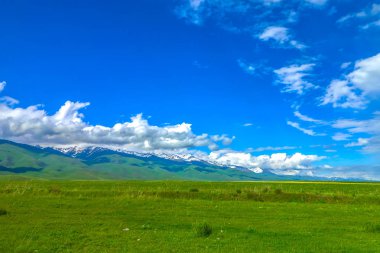 Suusamyr de kar çok Millî olan dağ aralığı çim arazi Valley manzara View Point