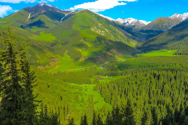 Karakol Gorge Resort manzara kar ile şapkalı Terskey Ala çok dağ Yurt kampı