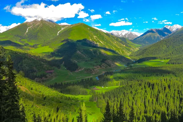 Karakol Gorge Resort manzara kar ile şapkalı Terskey Ala çok dağ Yurt kampı