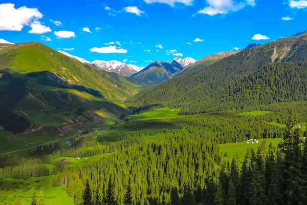 Karakol Gorge Resort manzara kar ile şapkalı Terskey Ala çok dağ Yurt kampı