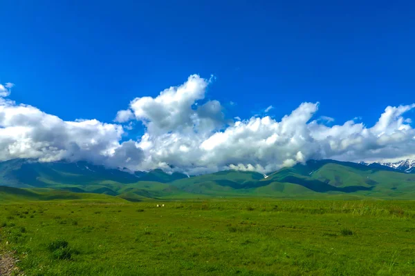 Suusamyr も雪のかぶった山範囲草土地谷景観ビュー ポイント — ストック写真