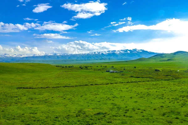 Suusamyr Too Snow Capped Mountain Range Erba Terra Valle Paesaggio — Foto Stock