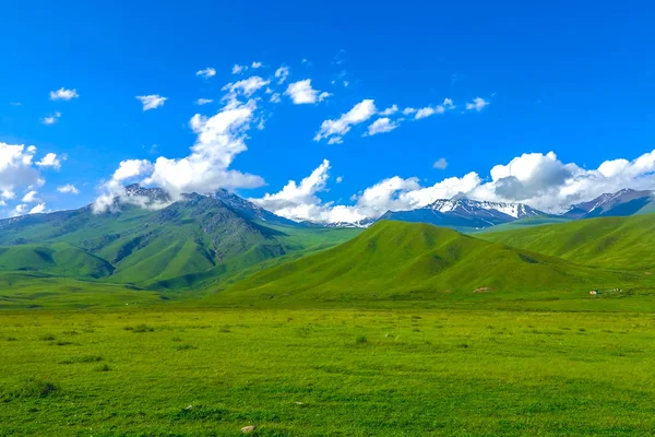 Suusamyr Πάρα Πολύ Χιόνι Ανώτατο Όριο Βουνό Περιοχή Χόρτο Γης — Φωτογραφία Αρχείου