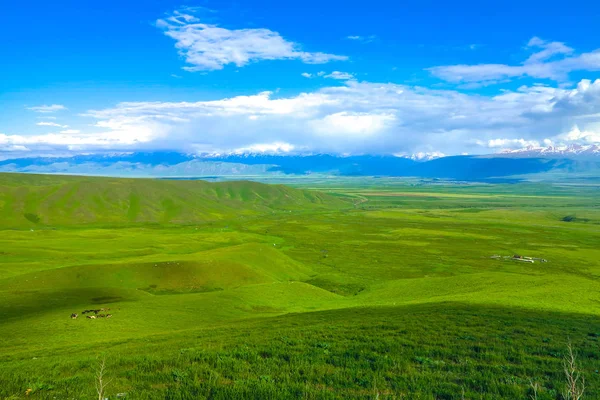 Suusamyr de kar çok Millî olan dağ aralığı çim arazi Valley manzara View Point