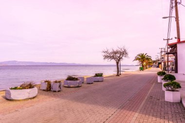 Pefkochori mesire Caddesi palmiye ağaçları batımında Sandy plaj sahil deniz bakış açısı ile