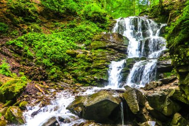 Shypit orman kaya şelale ön görünümünde Ukraynalı Karpat Dağları