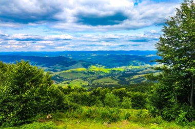 Pylypets Ski Resort yaz aylarında Ukrayna Karpat dağlarında panoramik