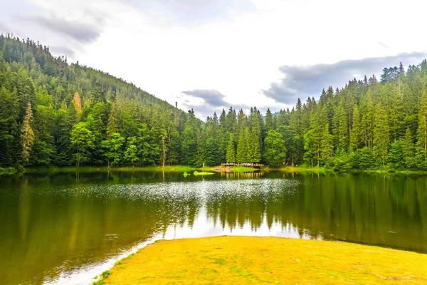 Vista Del Paisaje Del Lago Del Parque Nacional Synevir Las — Foto de Stock