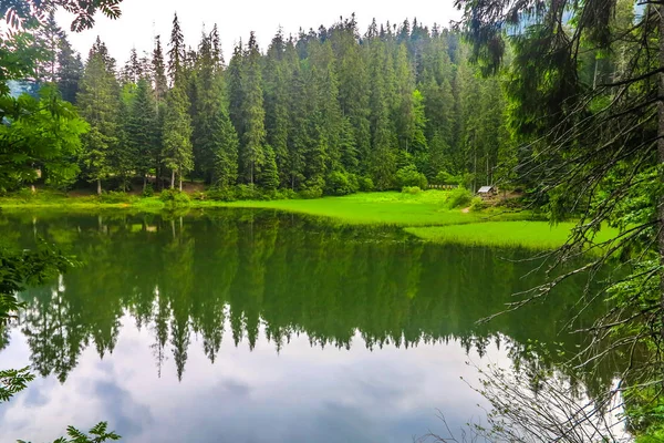 Vista Del Paisaje Del Lago Del Parque Nacional Synevir Las — Foto de Stock