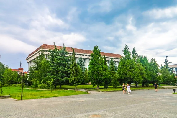 Bibliothèque District Central Khust Couverte Arbres Avec Drapeau Ukrainien Agitant — Photo