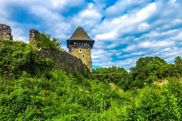 Harabeleri gözetleme kulesi manzaralı Uzhhorod Nevytsky kale dış duvarlar