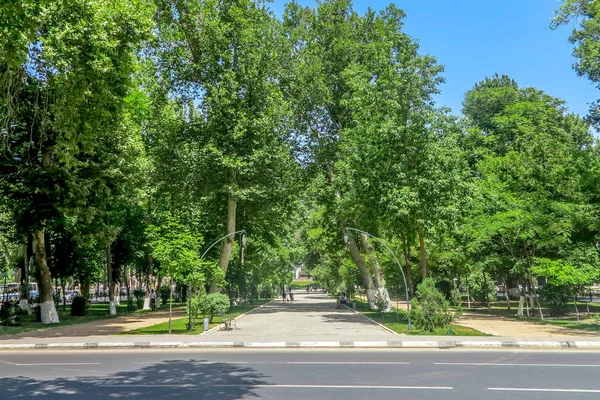 Samarkand univerzity Boulevard Park 05 — Stock fotografie