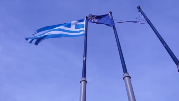 Greece Macedonia Flags — Stock Video