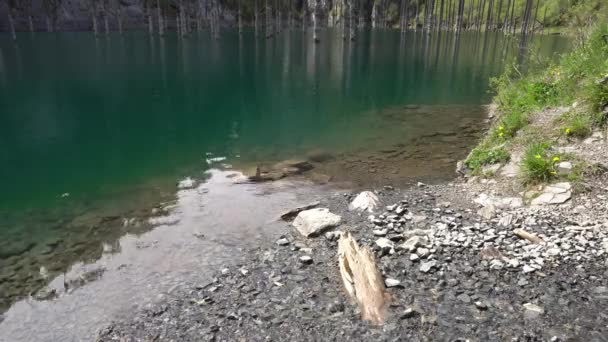 Vue sur le lac Kaindy 104 — Video