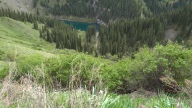 Kaindy Gölü Görünümü 105