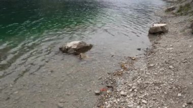 Saty Kolsai Gölleri 108