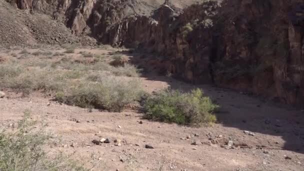 Rzeka charyn Canyon 112 — Wideo stockowe