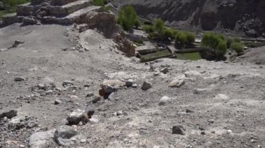 Pamir Karayolu Vrang Budist Stupa 45