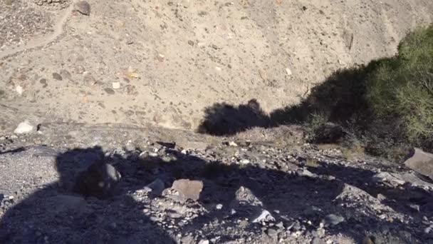 A Pamir Highway Yamchun erőd 46 — Stock videók