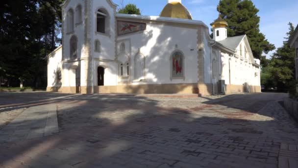 Catedral ortodoxa de Dushanbe 133 — Vídeo de stock