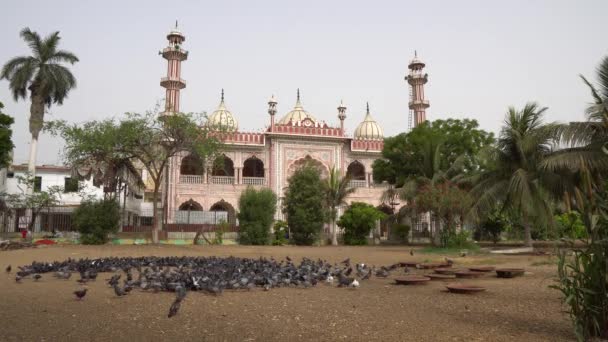 Karachi Masjid Aram Bagh mecset 46 — Stock videók