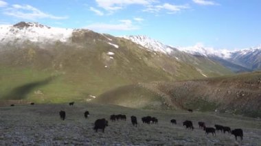 Deosai Ulusal Parkı 151
