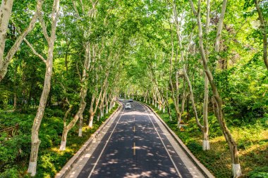 Çin Nanjing Ming Xiaoling Mozolesi 05