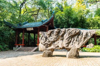 Çin Wuhu Zheshan Parkı 09
