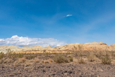 Altyn Emel Ulusal Parkı 30