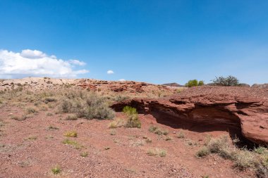 Altyn Emel Ulusal Parkı 38