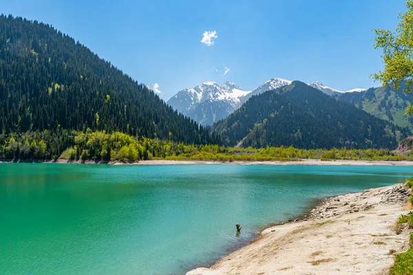 Esik Lake Issyk 12 — Stockfoto