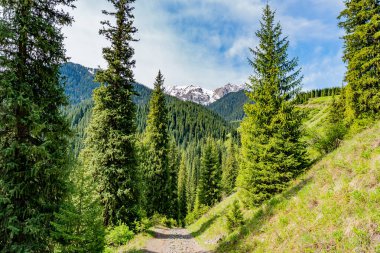 Saty Kaindy Gölü 14