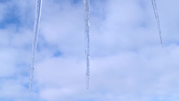 挂在楼顶的冰柱 水滴从他们的冰柱 突然变暖 旧的冬季 弱隔热 冰钟乳石 冰柱的形成 冬季天气的概念 — 图库视频影像