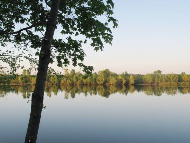 Yeşil ağaçlar nehir bahar