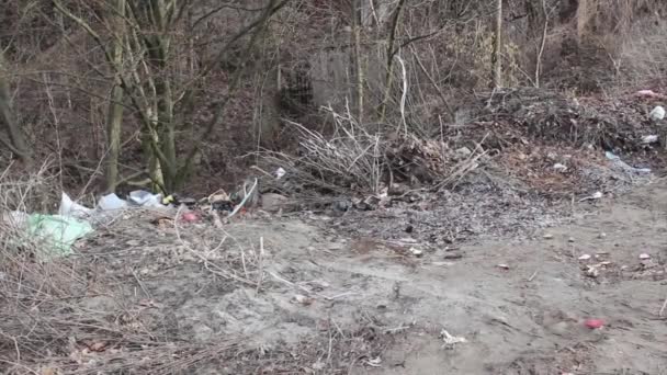 Garbage dump in the city garbage, plastic — Stock Video