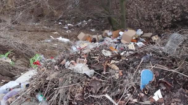 Çöp dökümü plastik ekoloji — Stok video