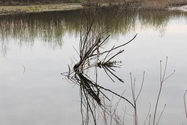 Flusslandschaftswasser — Stockfoto