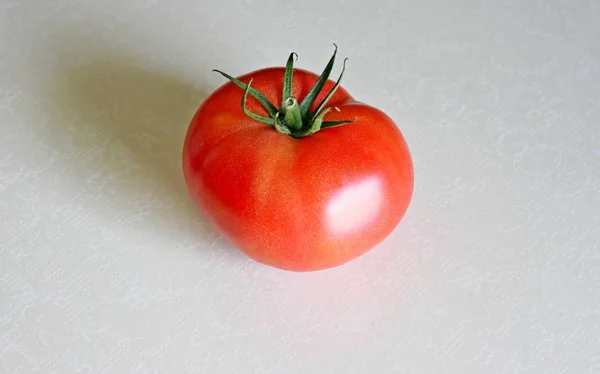 Ντομάτα σε λευκό φόντο — Φωτογραφία Αρχείου