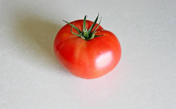 Tomate sur fond blanc — Photo