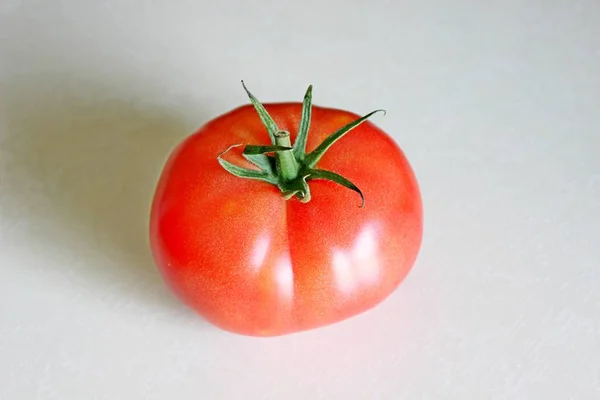 Tomate sur fond blanc — Photo