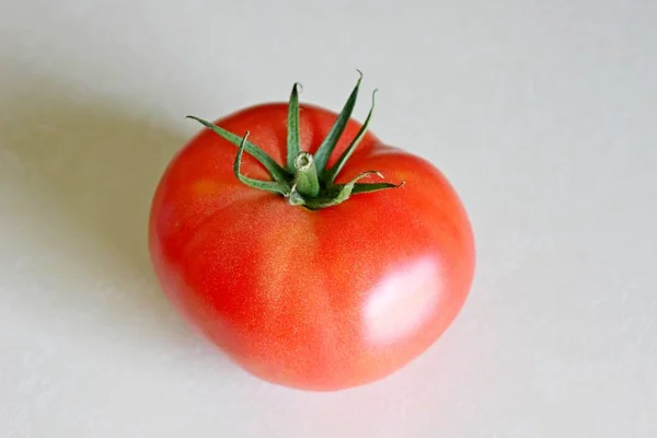 Tomate sur fond blanc — Photo