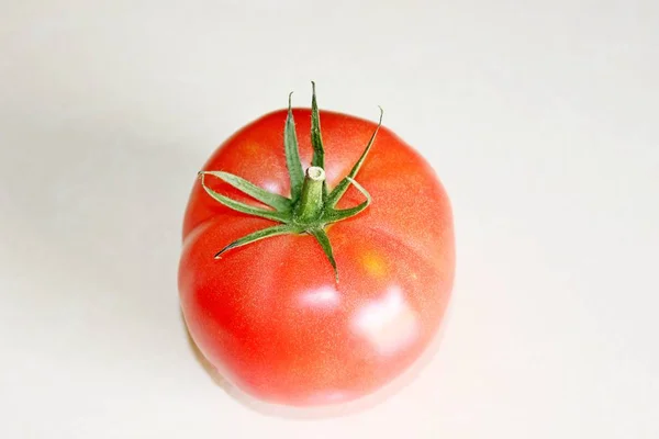 Tomate sobre fondo blanco — Foto de Stock