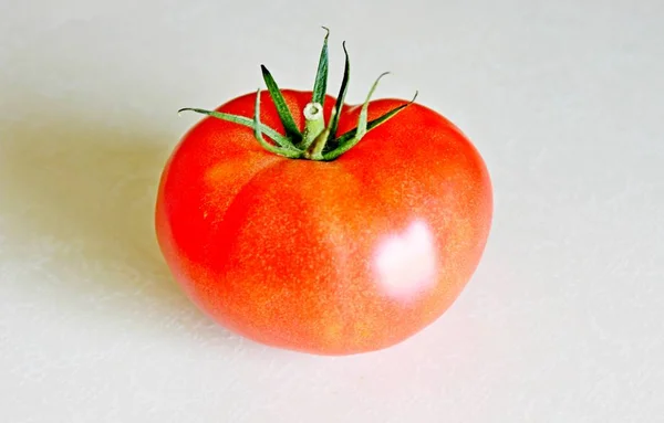 Tomate sur fond blanc — Photo