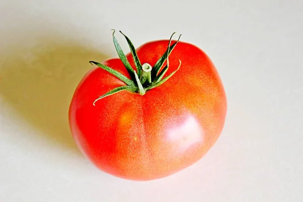 Tomate sobre fondo blanco — Foto de Stock