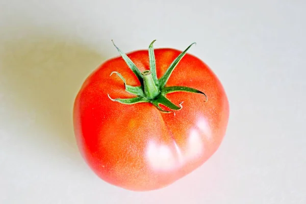 Tomate sobre fondo blanco — Foto de Stock