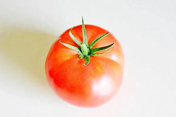 Tomate sobre fondo blanco — Foto de Stock